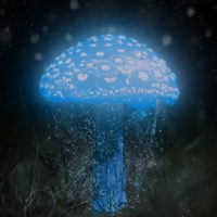 glühender, blauer Pilz